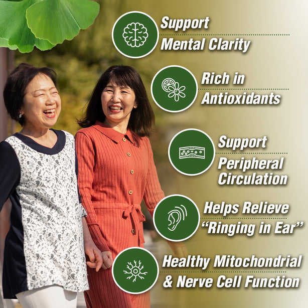 AFC Ginkgo Sensei Supreme for Brain Focus Memory Blood Circulation Cold Hands Feet
