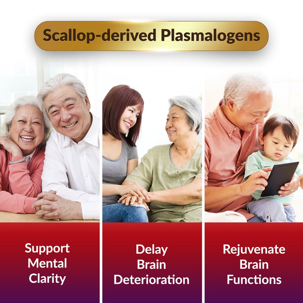 LABO NeuroREGAIN Plasmalogens Brain Memory, Mental Clarity & Cognitive Health