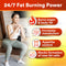 AFC LipoDOWN2 Weight Loss Slimming Fat Burner Appetite Control Boost Metabolism