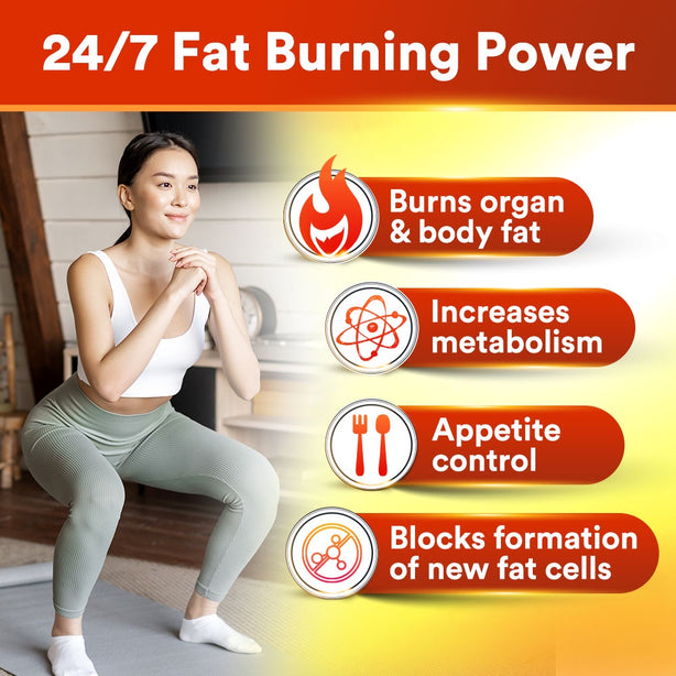 AFC LipoDOWN2 Weight Loss Slimming Fat Burner Appetite Control Boost Metabolism