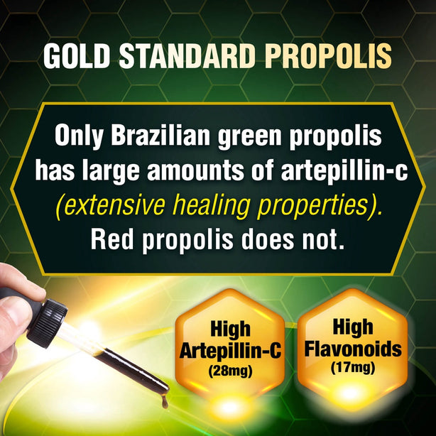 AFC Brazilian Green Propolis Extract Cough Sore Throat Flu Mouth Ulcer & Allergy
