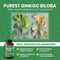 Ginkgo Biloba Extreme - 60ct