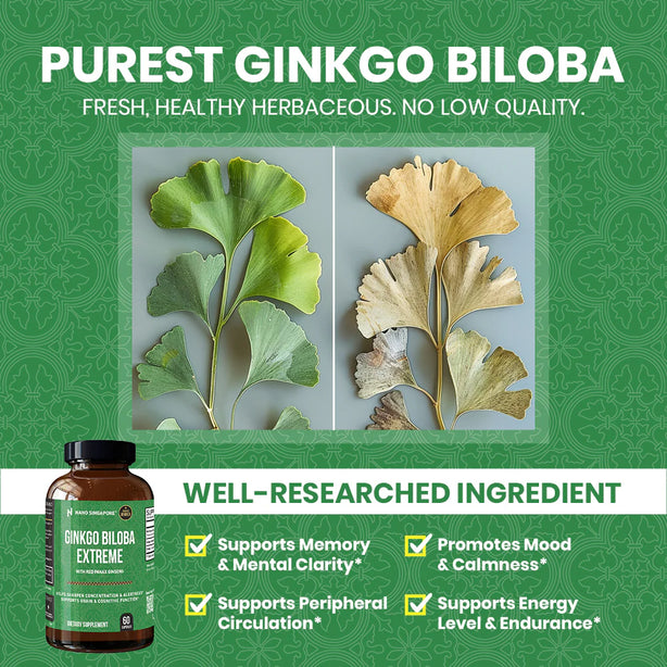 Ginkgo Biloba Extreme - 60ct