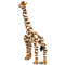 Giraffe (Deluxe Edition)