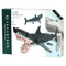 Great White Shark