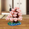 Yoshino Cherry
