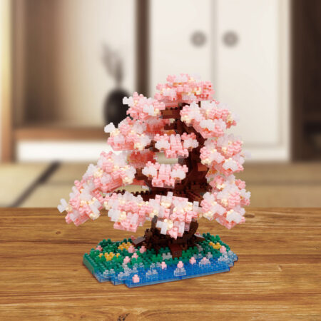 Yoshino Cherry