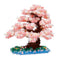 Yoshino Cherry