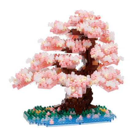 Yoshino Cherry