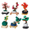 MiniNano Bonsai (Box of Six)