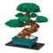Bonsai Matsu (Deluxe Edition)