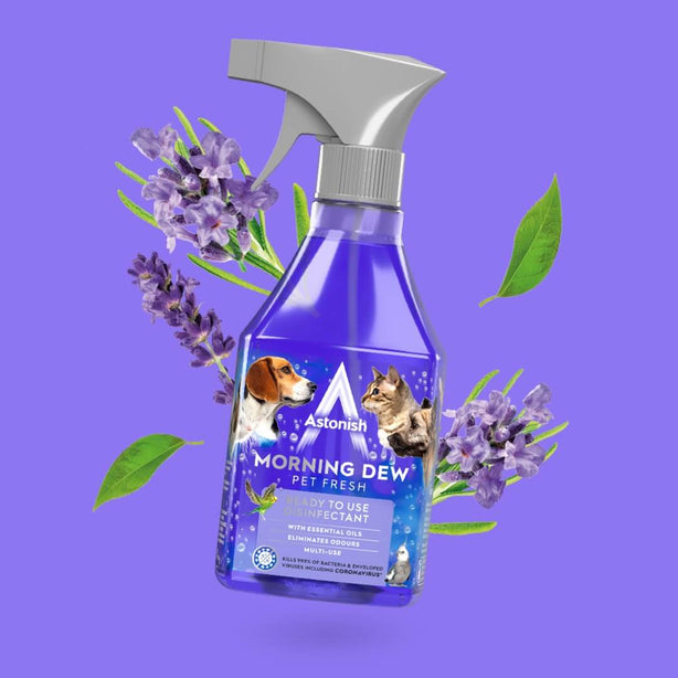 Astonish Ready To Use Disinfectant Morning Dew 550ml