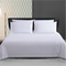 Royal Egyptian Cotton - White Lace