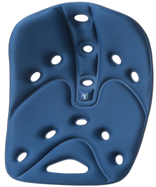 Backjoy sitsmart 2025