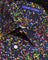 Coupe Cousu, Print, Short Sleeve Shirt