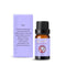 shcent 10ml Celestial Collection Essential Oil | Aura