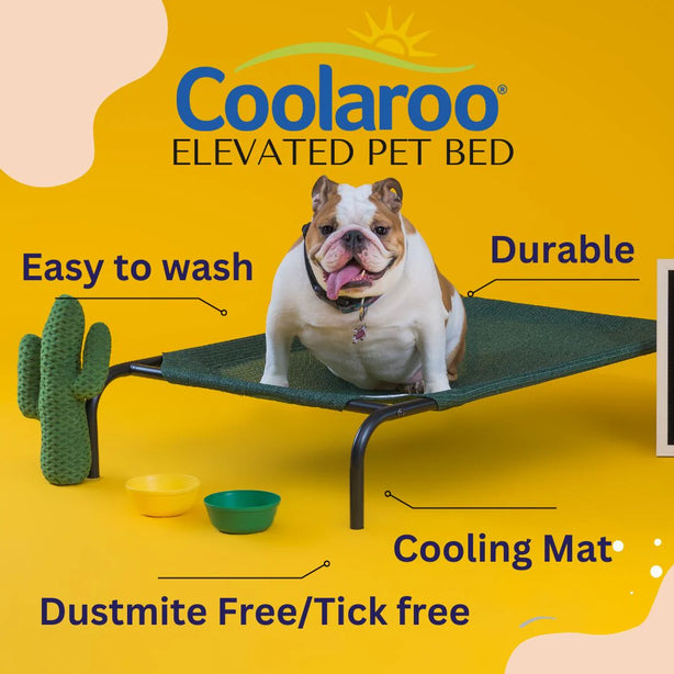 COOLAROO ELEVATED PET BED LARGE