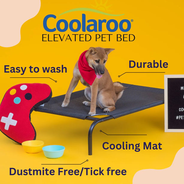 COOLAROO ELEVATED PET BED MEDIUM