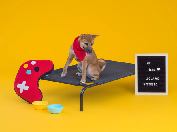 COOLAROO ELEVATED PET BED MEDIUM