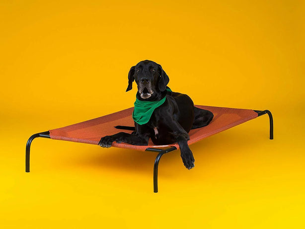 COOLAROO ELEVATED PET BED EXTRA LARGE