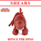 Shears Baby Soft Toy Toddler Kai Series PullString Royce the Red Dino