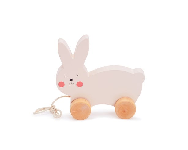 Bubble Wooden Rabbit Pull Along