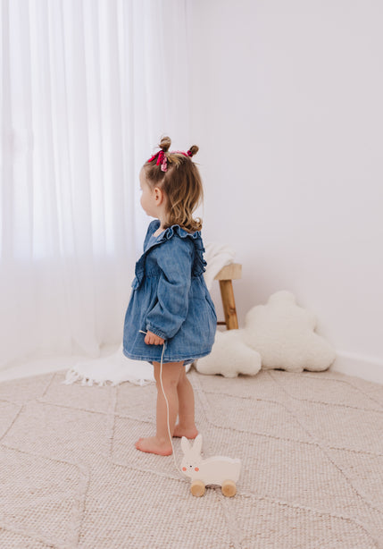 Bubble Wooden Rabbit Pull Along