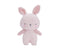 Bubble Bella the Bunny