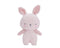 Bubble Bella the Bunny