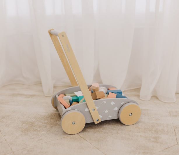 Bubble Wooden Baby Push Cart & Walker with 45 Building Blocks