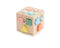 Bubble Wooden Shape Sorting Cube