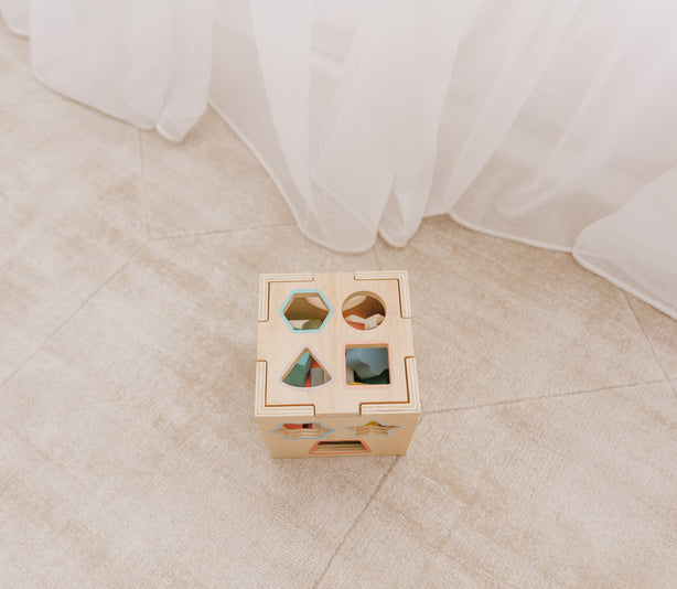 Bubble Wooden Shape Sorting Cube