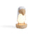 Bubble Toucan Night Light