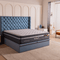 Dr.Maxis Paiza Platinum 14 Inch Pocketed Spring Mattress