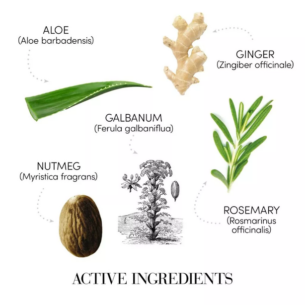 Medavita Puroxine Antiforfora Instant Anti-Dandruff Shampoo 55ml