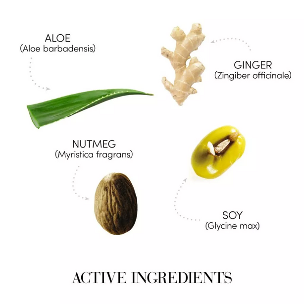 Medavita Sebodetox Sebum-Balancing Shampoo pH 5.5 55ml