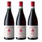 [BUNDLE OF 3] TASCA D'ALMERITA LAMURI 2021 750ML