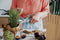 Bh0349 Berghoff Kitchen Scissors Forest