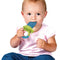 Munchkin Fresh Food Feeder