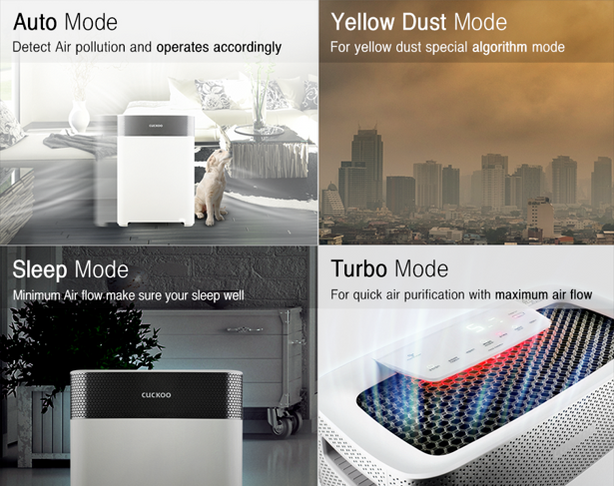 C+ Model Air Purifier + Humidifier (Free 1-Year Filters)