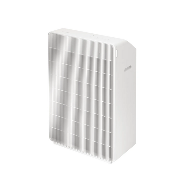 R Model Air Purifier (Free 1-Year Filters)