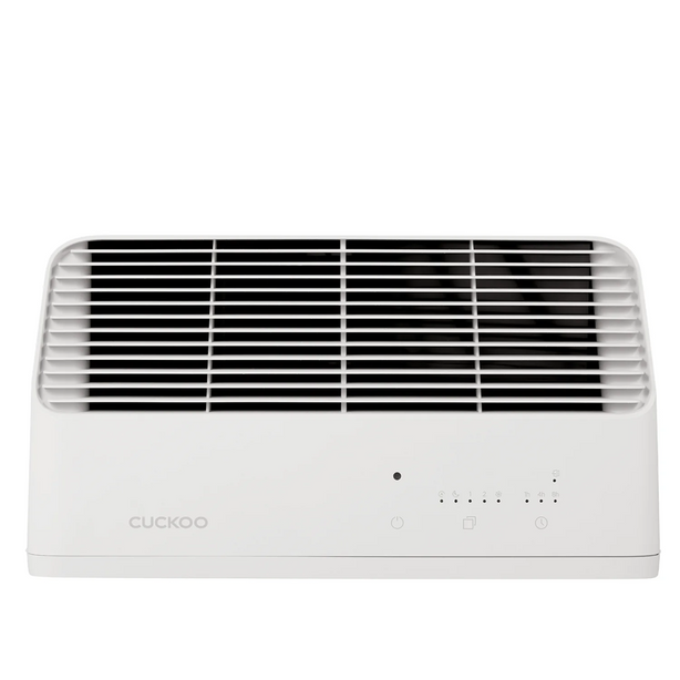 R Model Air Purifier (Free 1-Year Filters)