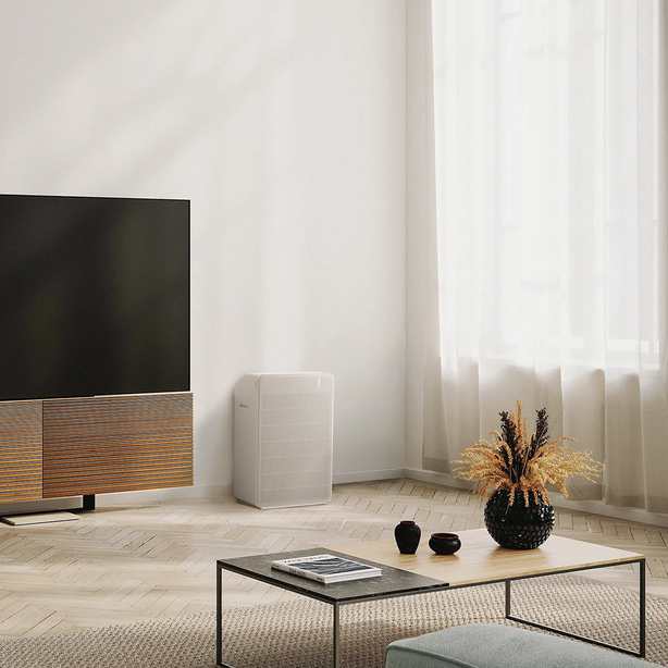 R Model Air Purifier (Free 1-Year Filters)