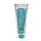 Anise Mint Toothpaste (travel Size) - 25ml/1.29oz