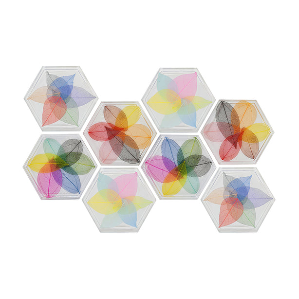 Jojomama Hexagon Botany Coaster - Set of 8
