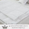Hallmark 5-Star Hotel Cotton Quilt