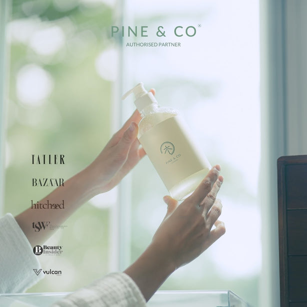 PINE & CO: COMMONS - “A Tapestry of Home: Rice”
