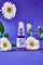 COOPY Jinjeong-zulene Ampoule