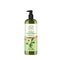 Petal Fresh Scalp Treatment Tea Tree Shampoo 1L