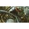 Gopro Boom + Bar Mount